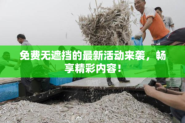 免费无遮挡的最新活动来袭，畅享精彩内容！