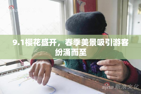 9.1樱花盛开，春季美景吸引游客纷涌而至