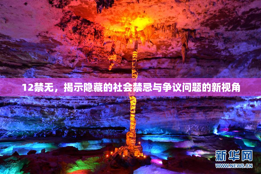 12禁无，揭示隐藏的社会禁忌与争议问题的新视角
