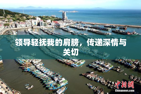 领导轻抚我的肩膀，传递深情与关切