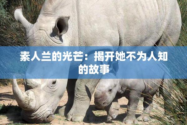 素人兰的光芒：揭开她不为人知的故事