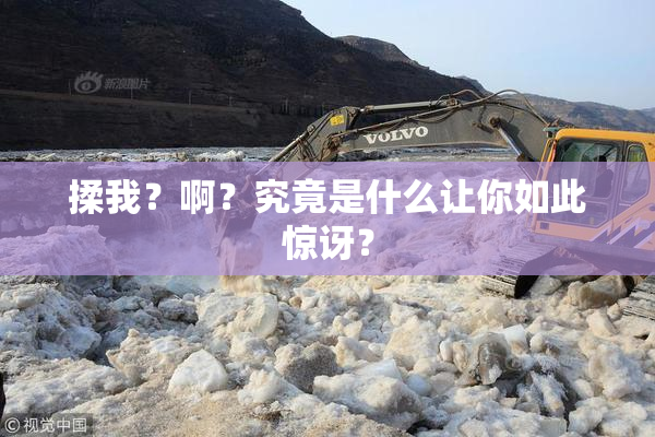揉我？啊？究竟是什么让你如此惊讶？