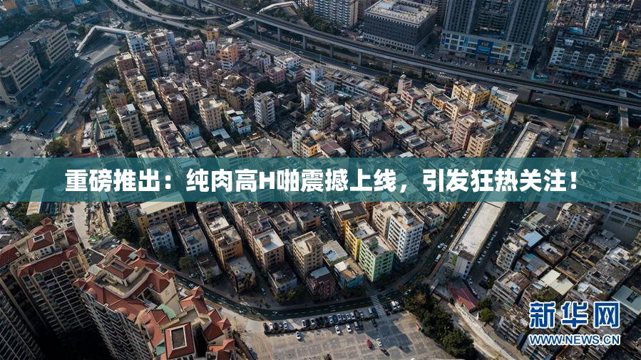 重磅推出：纯肉高H啪震撼上线，引发狂热关注！