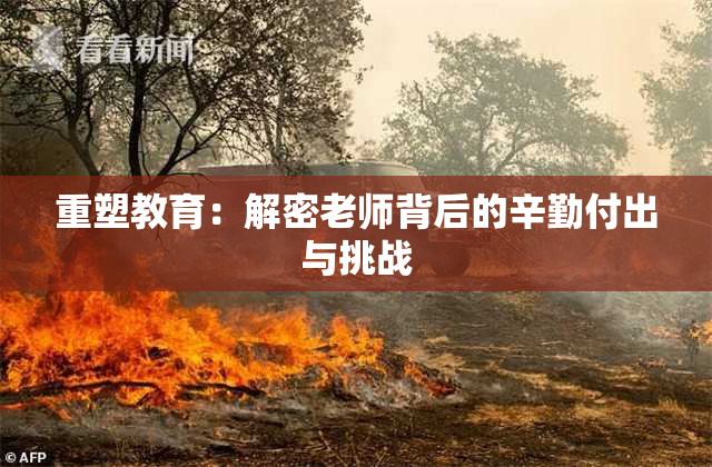 重塑教育：解密老师背后的辛勤付出与挑战