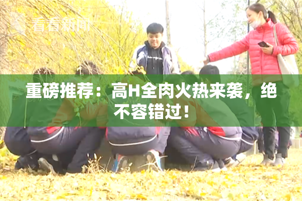 重磅推荐：高H全肉火热来袭，绝不容错过！