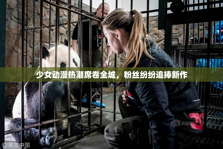 少女动漫热潮席卷全城，粉丝纷纷追捧新作