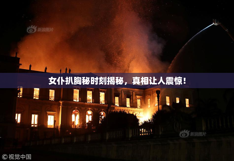 女仆扒胸秘时刻揭秘，真相让人震惊！