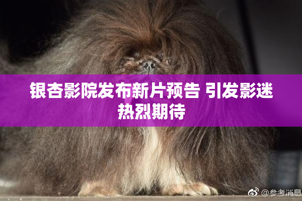 银杏影院发布新片预告 引发影迷热烈期待
