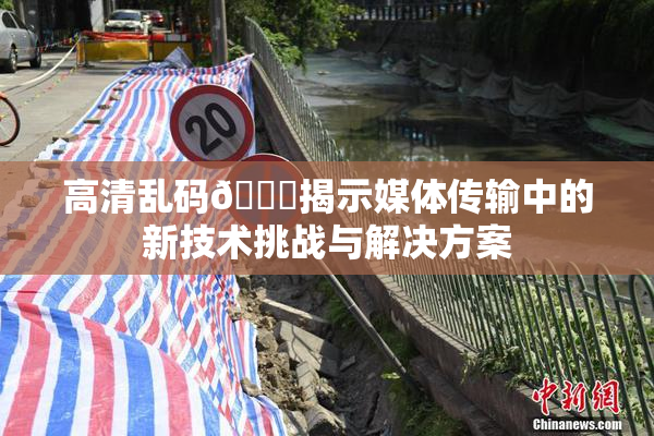 高清乱码🔞揭示媒体传输中的新技术挑战与解决方案