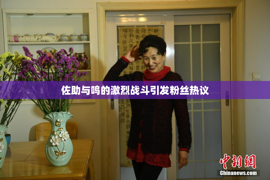 佐助与鸣的激烈战斗引发粉丝热议