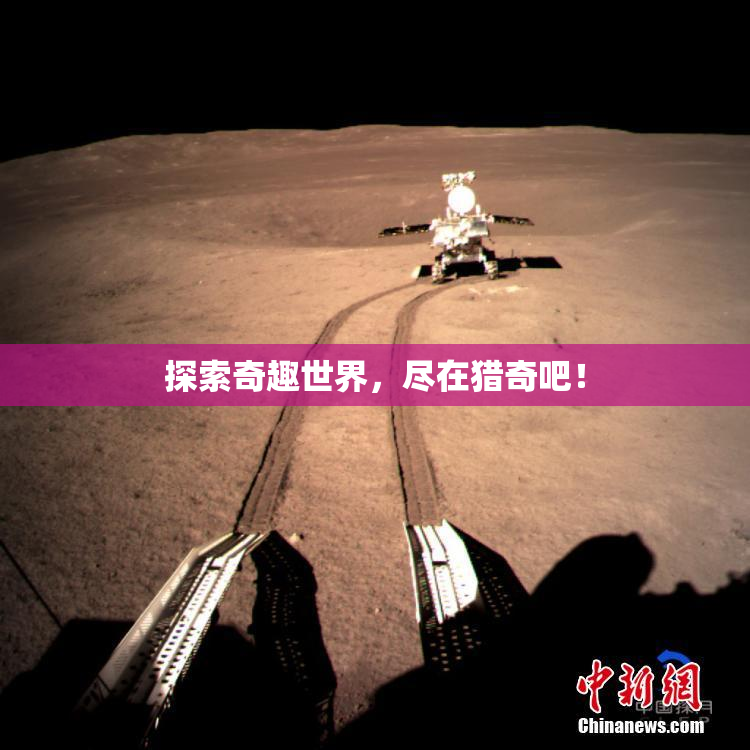探索奇趣世界，尽在猎奇吧！