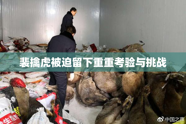 裴擒虎被迫留下重重考验与挑战