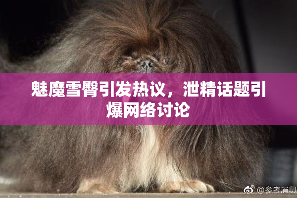 魅魔雪臀引发热议，泄精话题引爆网络讨论