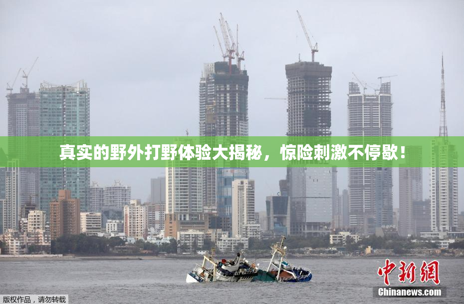 真实的野外打野体验大揭秘，惊险刺激不停歇！