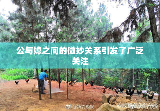 公与媳之间的微妙关系引发了广泛关注