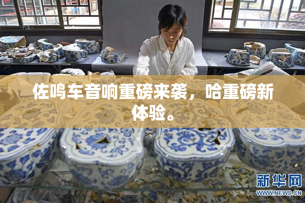 佐鸣车音响重磅来袭，哈重磅新体验。