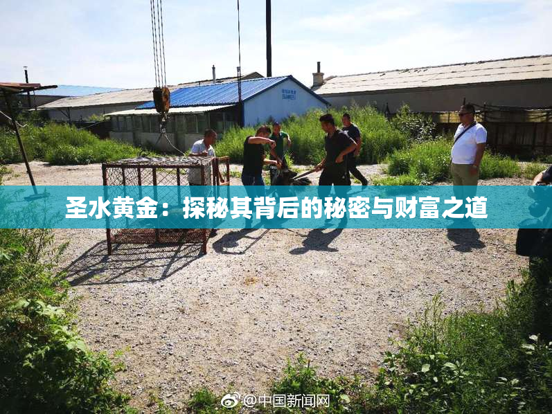圣水黄金：探秘其背后的秘密与财富之道