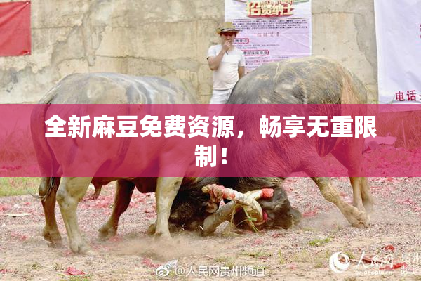 全新麻豆免费资源，畅享无重限制！
