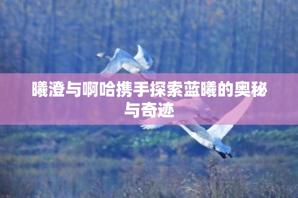 曦澄与啊哈携手探索蓝曦的奥秘与奇迹