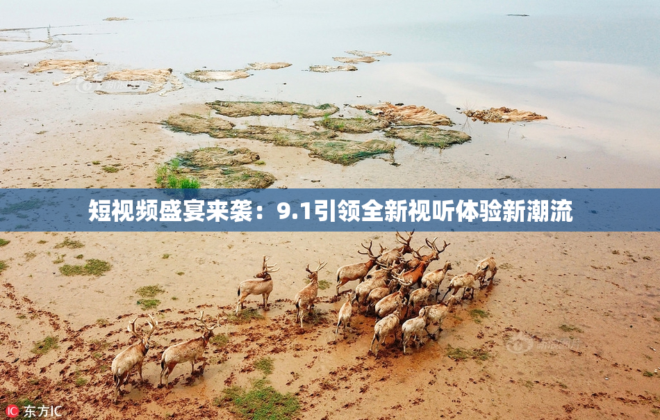 短视频盛宴来袭：9.1引领全新视听体验新潮流