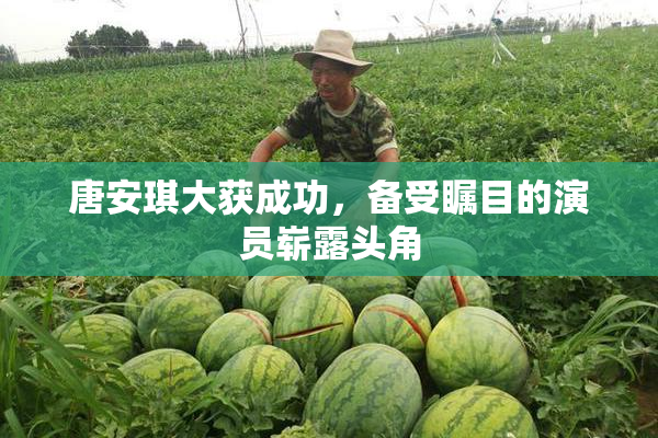 唐安琪大获成功，备受瞩目的演员崭露头角