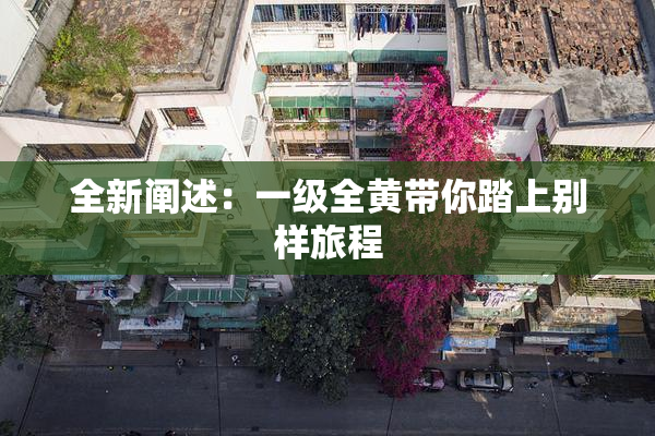 全新阐述：一级全黄带你踏上别样旅程
