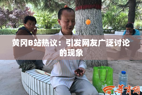 黄冈B站热议：引发网友广泛讨论的现象