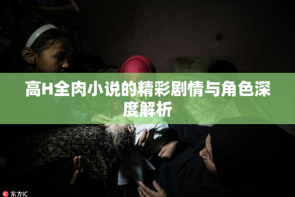 高H全肉小说的精彩剧情与角色深度解析
