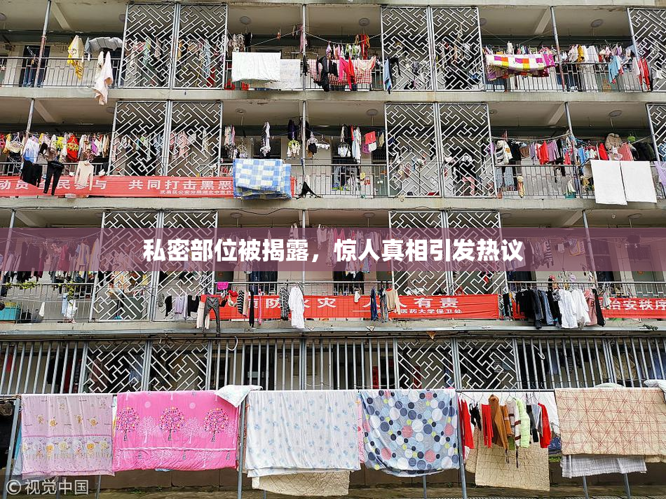 私密部位被揭露，惊人真相引发热议