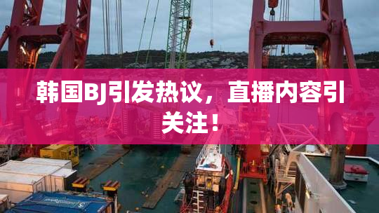 韩国BJ引发热议，直播内容引关注！