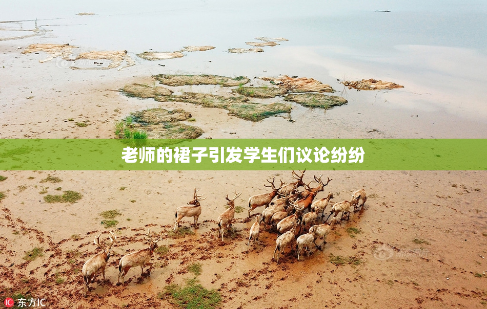 老师的裙子引发学生们议论纷纷
