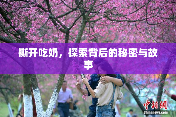 撕开吃奶，探索背后的秘密与故事