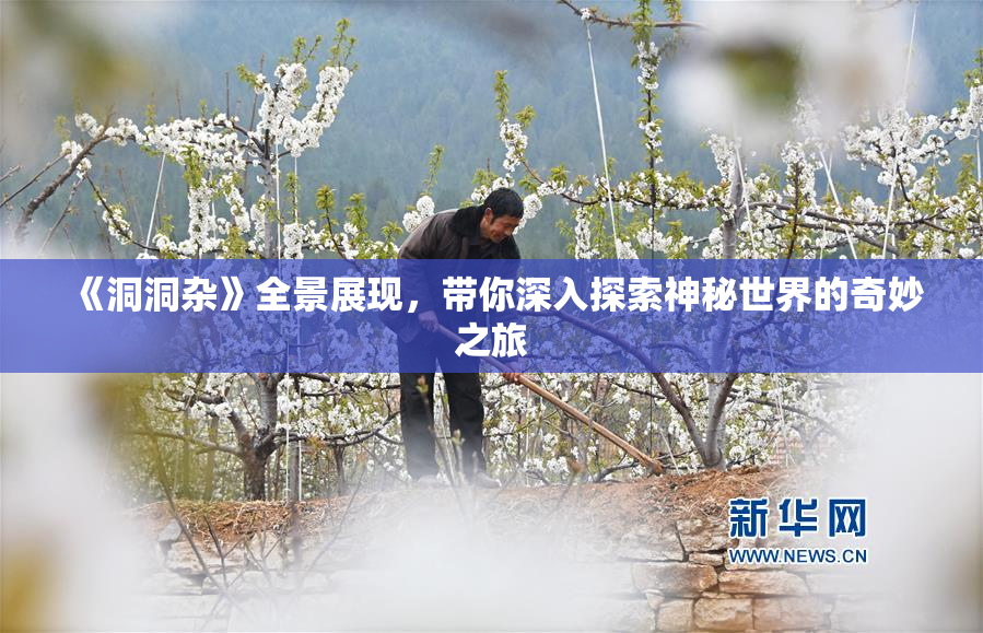 《洞洞杂》全景展现，带你深入探索神秘世界的奇妙之旅
