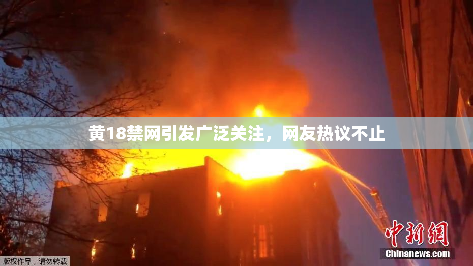 黄18禁网引发广泛关注，网友热议不止