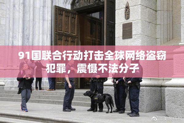 91国联合行动打击全球网络盗窃犯罪，震慑不法分子