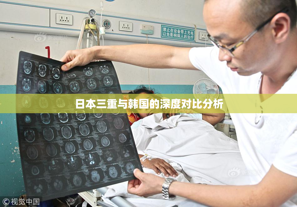 日本三重与韩国的深度对比分析