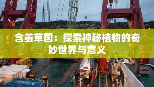 含羞草国：探索神秘植物的奇妙世界与意义