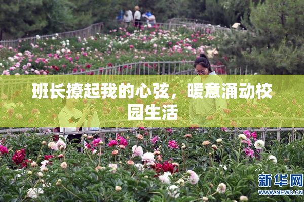 班长撩起我的心弦，暖意涌动校园生活