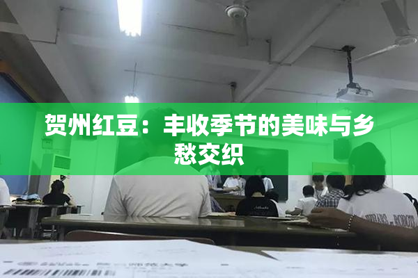 贺州红豆：丰收季节的美味与乡愁交织