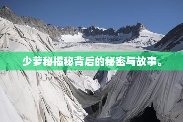 少萝秘揭秘背后的秘密与故事。
