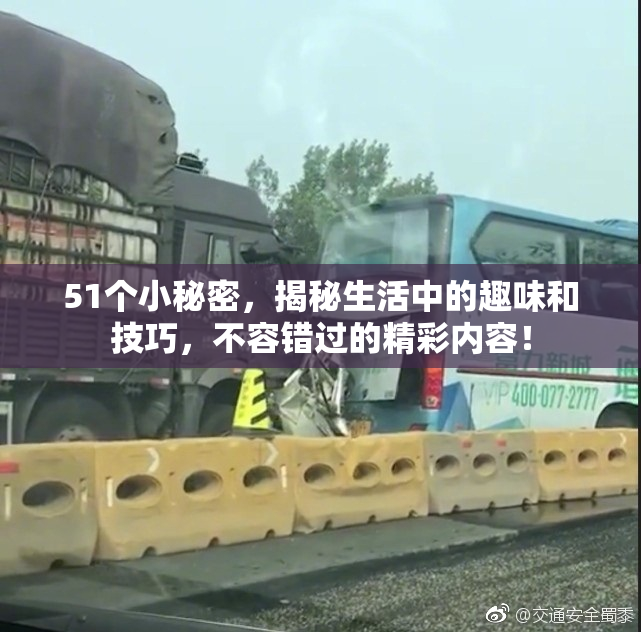 51个小秘密，揭秘生活中的趣味和技巧，不容错过的精彩内容！