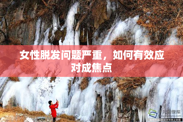 女性脱发问题严重，如何有效应对成焦点