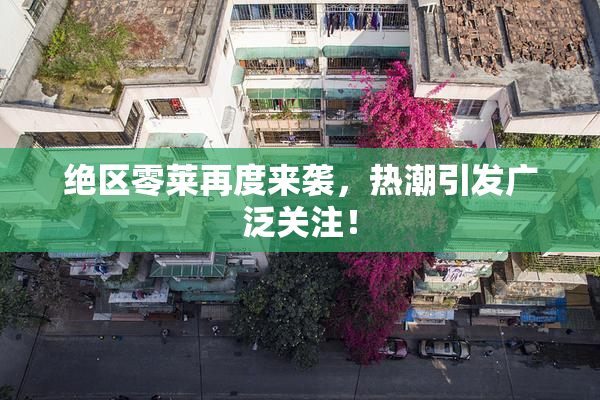 绝区零莱再度来袭，热潮引发广泛关注！