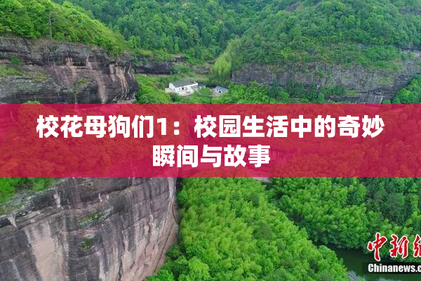校花母狗们1：校园生活中的奇妙瞬间与故事
