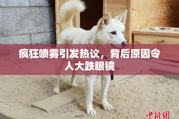 疯狂喷雾引发热议，背后原因令人大跌眼镜