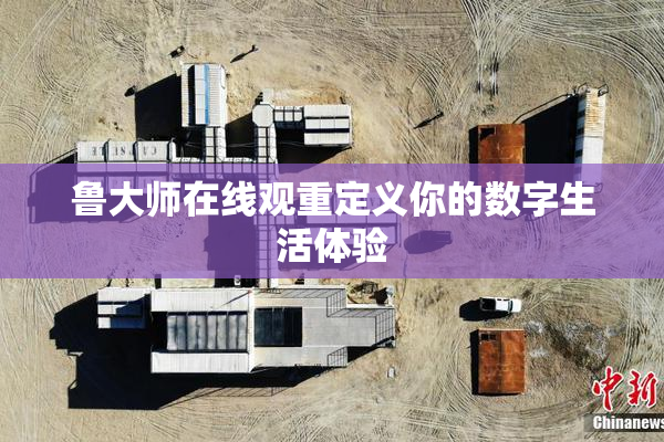 鲁大师在线观重定义你的数字生活体验