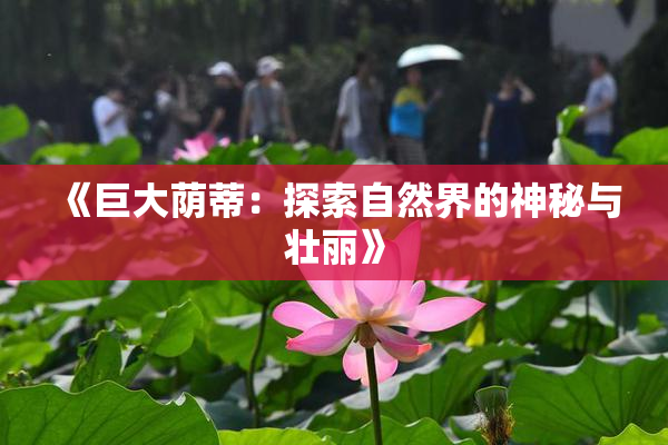 《巨大荫蒂：探索自然界的神秘与壮丽》