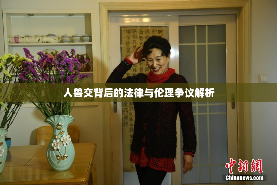 人兽交背后的法律与伦理争议解析