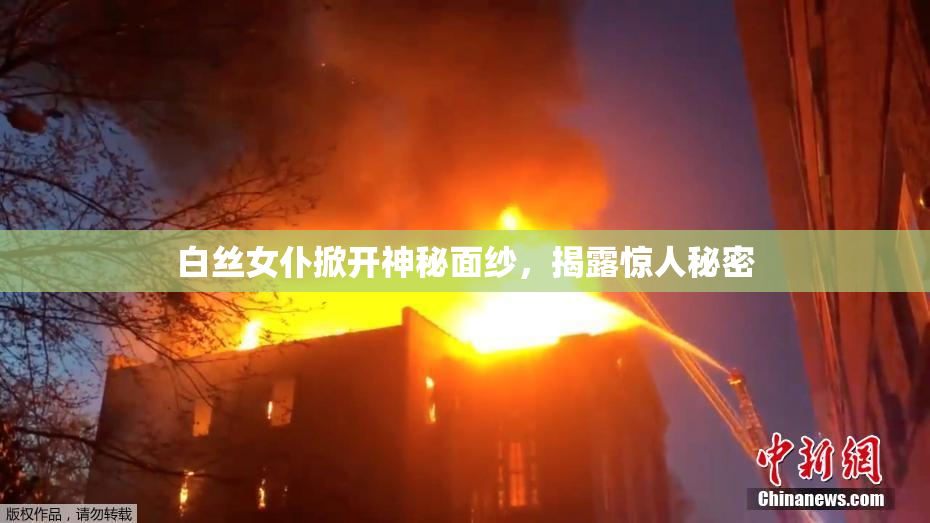 白丝女仆掀开神秘面纱，揭露惊人秘密