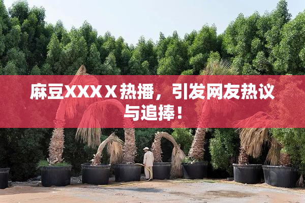 麻豆XXXⅩ热播，引发网友热议与追捧！